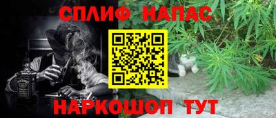 гашик Абакан