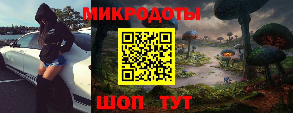 Псилоцибиновые грибы прущие грибы Асино