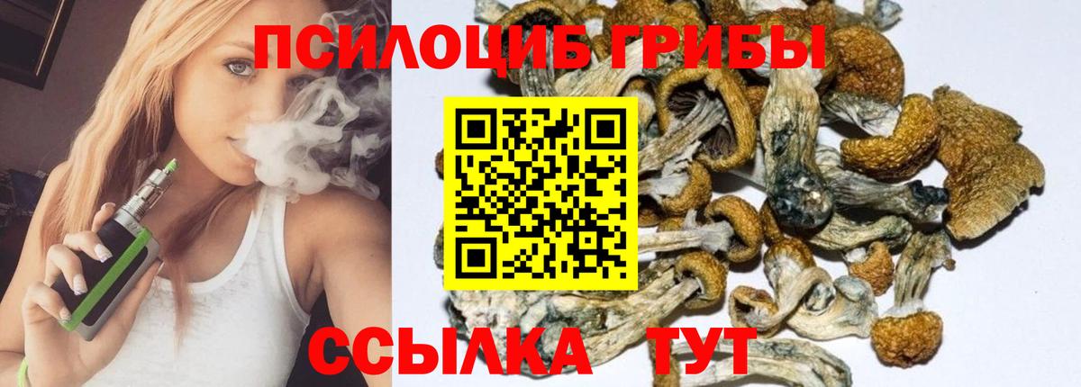 где найти наркотики  Галлюциногенные грибы Psilocybe  Вход с VPN  Асино 