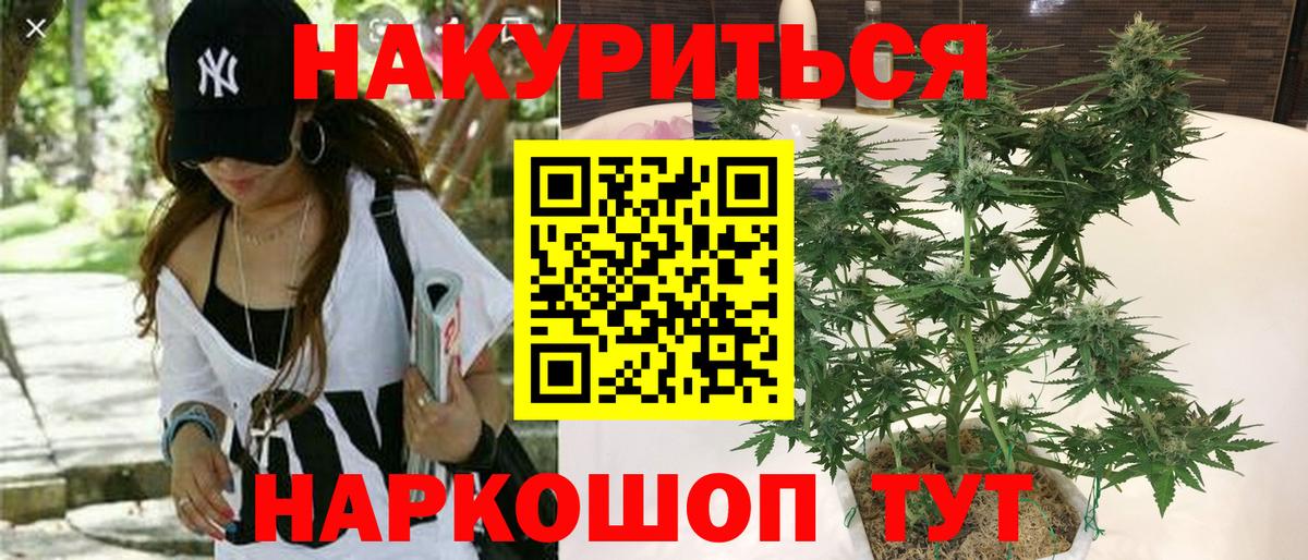 Шишки марихуана Bruce Banner Асино